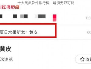 十大黄皮软件排行榜，解锁无限可能