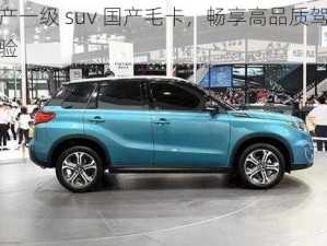 国产一级 suv 国产毛卡，畅享高品质驾驶体验