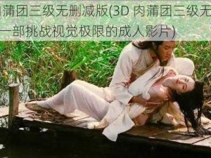 3D肉蒲团三级无删减版(3D 肉蒲团三级无删减版：一部挑战视觉极限的成人影片)