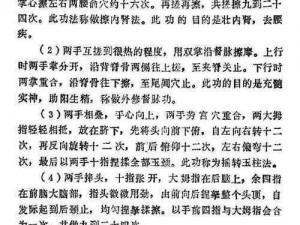 太极熊猫2玄道术士英雄深度解析：道法自然技能的奥秘揭秘