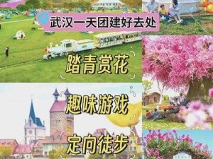 新洲区香草伊甸园景区、新洲区香草伊甸园景区的花开得正艳，你去打卡了吗？