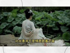 《正史之谜：孙尚香终嫁何人？》