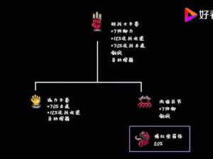 泰拉瑞亚攀岩小饰品的全面解析：功能优势与使用指南