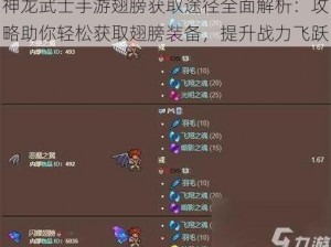 神龙武士手游翅膀获取途径全面解析：攻略助你轻松获取翅膀装备，提升战力飞跃