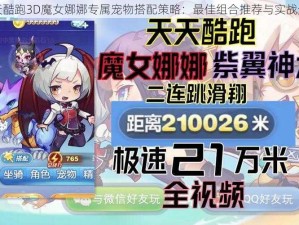 天天酷跑3D魔女娜娜专属宠物搭配策略：最佳组合推荐与实战分析