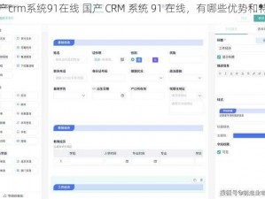 国产crm系统91在线 国产 CRM 系统 91 在线，有哪些优势和特点？