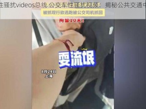 公交车性骚扰videos总线 公交车性骚扰视频：揭秘公共交通中的黑暗面