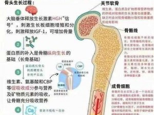 骨科 11h 推荐：呵护您的骨骼健康