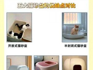 猫咪最新地域网名是什么？看看这款专为猫咪打造的猫砂盆