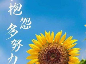 芝麻酱正能量软件——让你的生活充满积极向上的力量