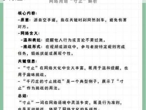 寸止挑战9怎么玩才好玩、如何玩寸止挑战 9才有趣？