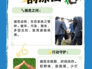 通灵兽熊猫神秘技能揭秘：探寻自然和谐之力，领略独特武艺风采