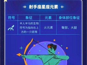 射手大陆安装与配置指南：全面解析操作步骤与注意事项