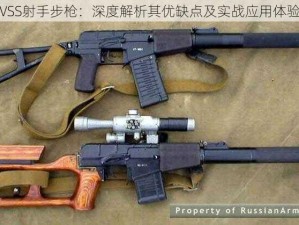 VSS射手步枪：深度解析其优缺点及实战应用体验