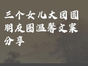 大团圆结2高敏—大团圆结 2：高敏的情感纠葛与家庭纷争