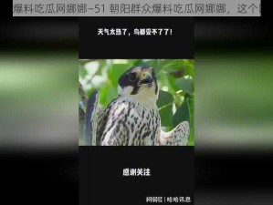 51朝阳群众爆料吃瓜网娜娜—51 朝阳群众爆料吃瓜网娜娜，这个网红怎么了？