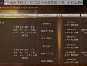 玩转新纪元三国志战略版：深度解析装备获取之道，游戏攻略全覆盖讲解