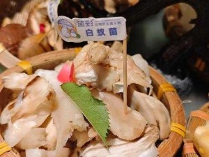 一起来探索云火锅电脑版下载与安装指南：轻松上手，尽享美食盛宴