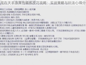 御龙在天手游属性精炼技巧攻略：实战策略与玩法心得分享