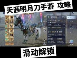 天涯明月刀手游首测资格全攻略：必备获取指南解析