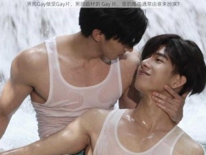 男同Gay做受Gay片、男同题材的 Gay 片，受的角色通常由谁来扮演？