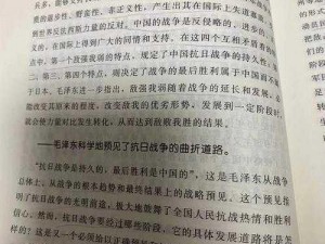 黑帮领袖——苍龙与白鸟黑老大的智慧处置方案