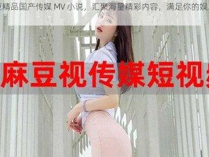 麻豆精品国产传媒 MV 小说，汇聚海量精彩内容，满足你的娱乐需求