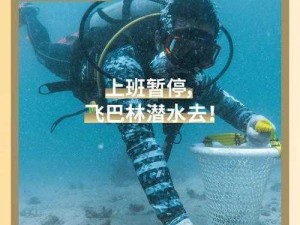 关于森林中如何进行潜水器分享：团队协作下的潜水分发技巧探讨