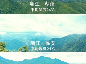 伊春园 2024 口直达，高性价比的优质产品，让您的旅途更加顺畅