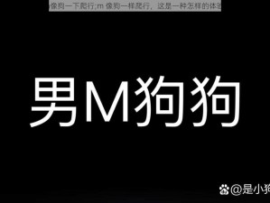 m像狗一下爬行;m 像狗一样爬行，这是一种怎样的体验？