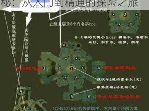 魔兽世界怀旧服副本开启时序揭秘：从入门到精通的探险之旅