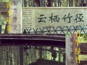 天下三竹径通幽攻略揭秘：探索竹径的神秘之旅