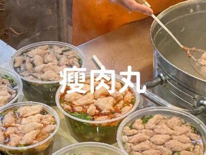 肉丸1979年加拿大 肉丸往事：1979 年加拿大的那些事儿