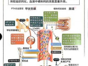 罗博造造伤害传导机制深度解析：原理设定与效能分析