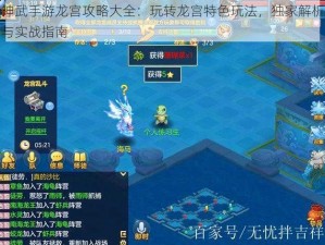 神武手游龙宫攻略大全：玩转龙宫特色玩法，独家解析与实战指南