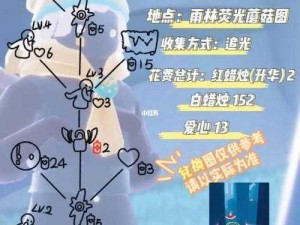 光遇探险：吊床寻物游戏任务全攻略指南