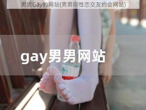 男男Gay的网站(男男同性恋交友约会网站)