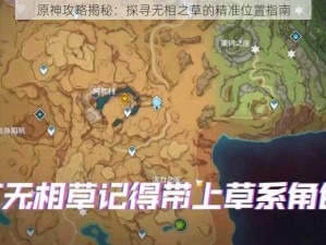 原神攻略揭秘：探寻无相之草的精准位置指南