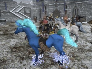 FF14老者坐骑获取攻略：详解老者坐骑的获取方法与步骤