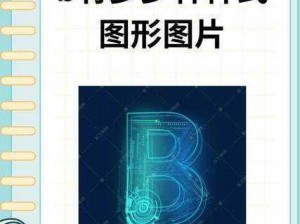 B的几种类型图例、B 的几种类型图例——集合 B 的不同分类图示