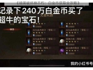 《暗黑破坏神不朽：白金币获取全攻略》