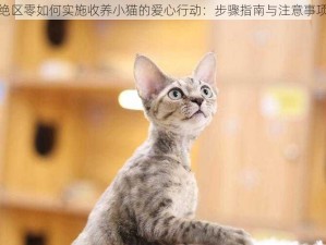 绝区零如何实施收养小猫的爱心行动：步骤指南与注意事项