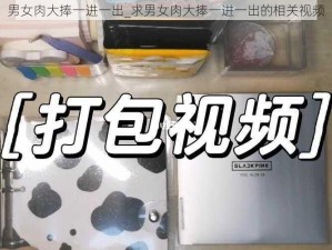 男女肉大捧一进一出_求男女肉大捧一进一出的相关视频