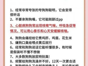 通神榜小狗解锁攻略：探索隐藏任务，解锁全新角色小狗全步骤详解