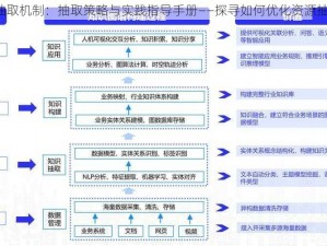 构建高效SSR抽取机制：抽取策略与实践指导手册——探寻如何优化资源抽取速度与质量