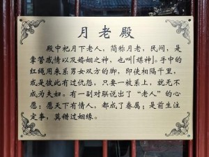 连善宝宝的意义：探索其深层含义与影响或者连善宝宝：概念解析及其在现实中的应用和影响