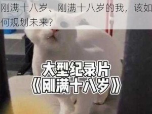 刚满十八岁、刚满十八岁的我，该如何规划未来？