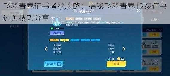 飞羽青春证书考核攻略：揭秘飞羽青春12级证书过关技巧分享