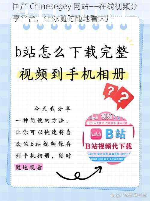 国产 Chinesegey 网站——在线视频分享平台，让你随时随地看大片