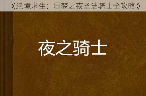 《绝境求生：噩梦之夜圣洁骑士全攻略》